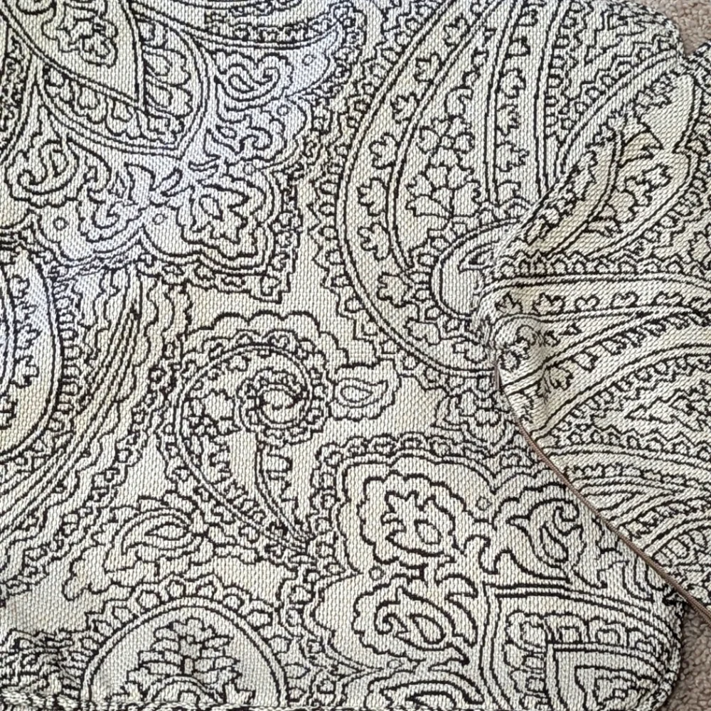 Brand New - (2) La-Z-Boy 18x18 Accent Pillow Covers Paisley Motif - Picture 10 of 14